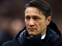 关于Rookie连续十二场比赛得分超过战术调整，拜仁挑战极限！的信息