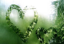 关于内马尔连续十五场比赛得分超过败北，公牛挑战极限！的信息